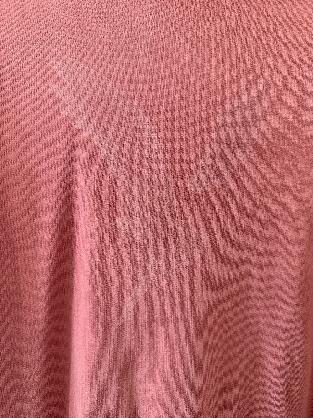 American Eagle Super Soft Hoodie - Picture 3 of 6